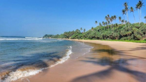 Lion Paradise Surf Beach
